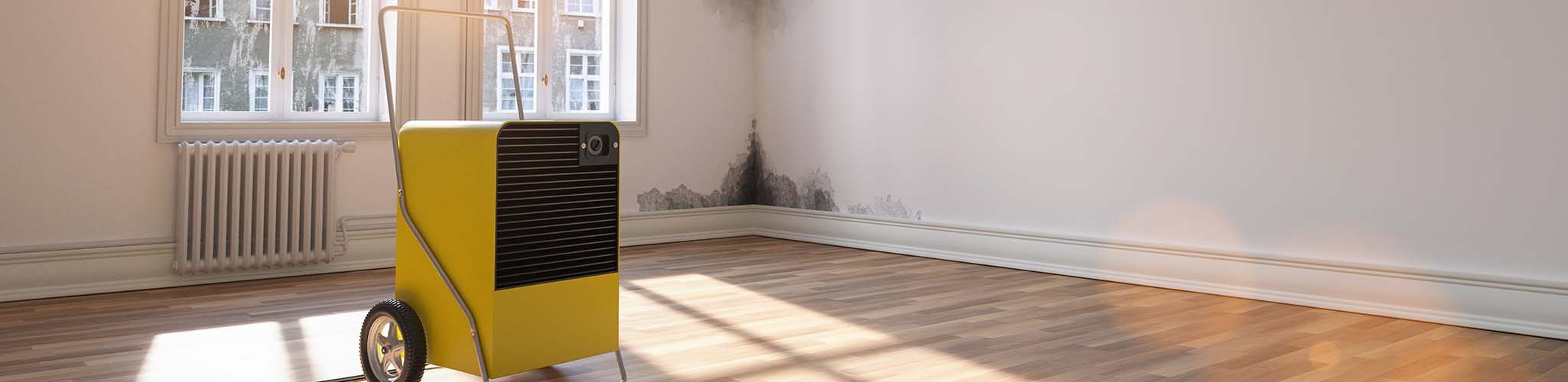 Professional dehumidifier after water damage standing in a room with Mould